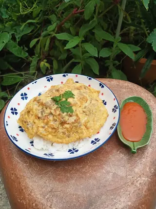 Rice topped with omelet and minced pork