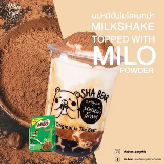 นมหมีปั่นไมโลแมกม่า