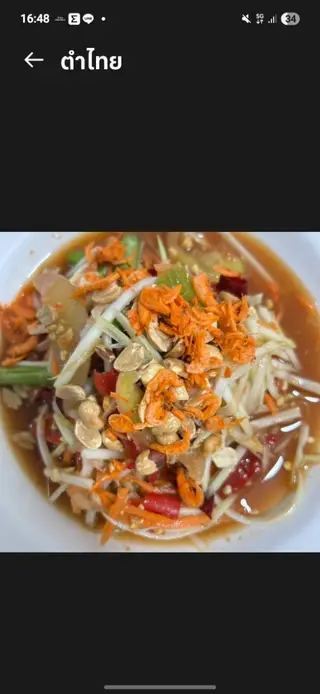 Thai papaya salad
