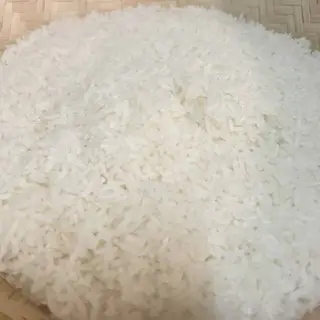 sticky rice
