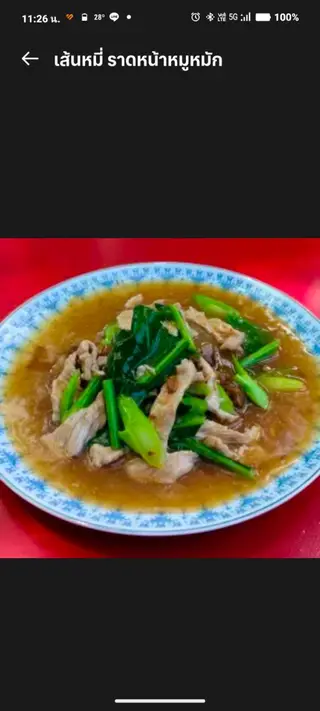 Wide rice noodles with marinated pork topping.