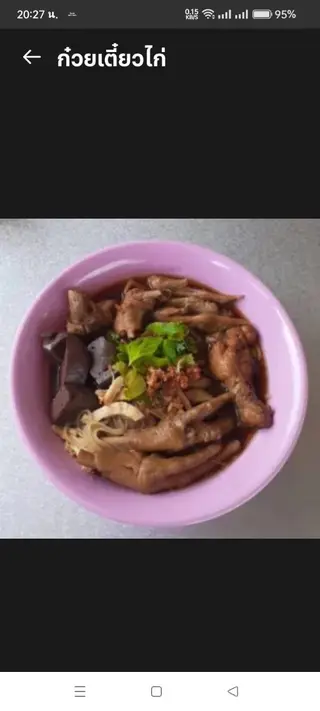 Braised Chicken Noodles