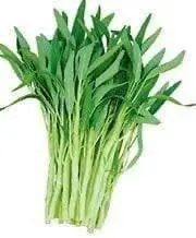 water spinach