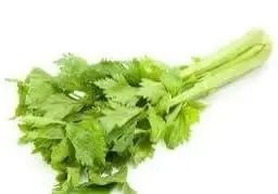 celery