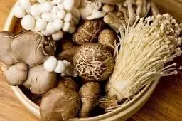Mushroom set
