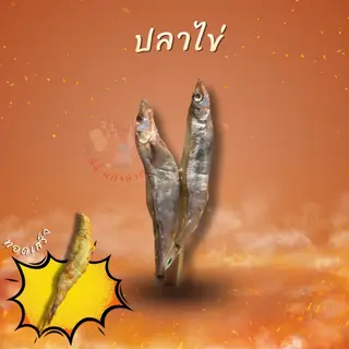 ปลาไข่