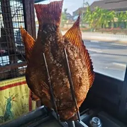 เมี่ยงปลาทับทิม