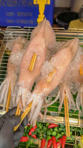 หมึกอาเจน