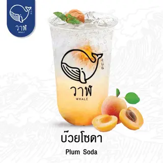 บ๊วยโซดา