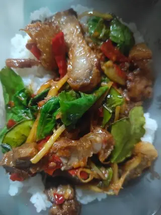 ผัดฉ่าหมูกรอบราดข้าว
