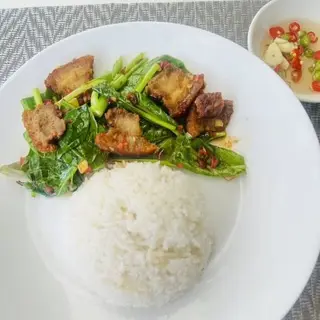 ข้าวราดคะน้าหมูกรอบ