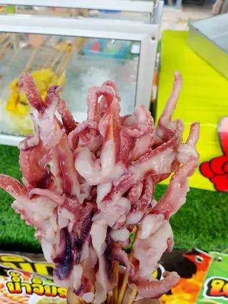 หนวดปลาหมึก