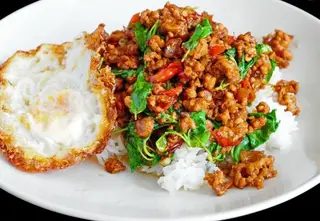 ข้าว กระเพรา /ราดข้าว