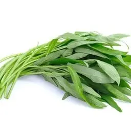 ผักบุ้ง