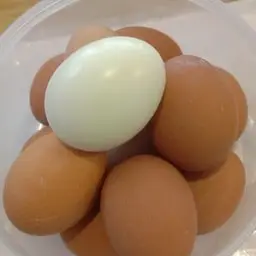 ไข่ต้ม