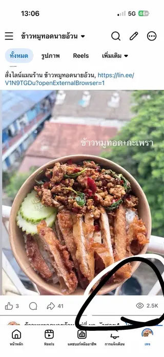ข้าวหมูทอด + กะเพราหมูสับ