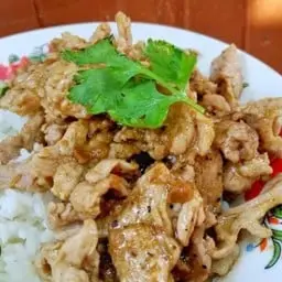 ผัดกระเทียมพริกไทยราดข้าว
