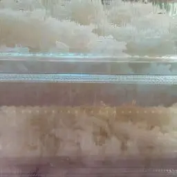 ข้าวเปล่า1กล่อง