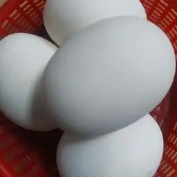 ไข่เค็ม