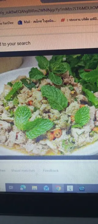 ก้อยเนื้อ
