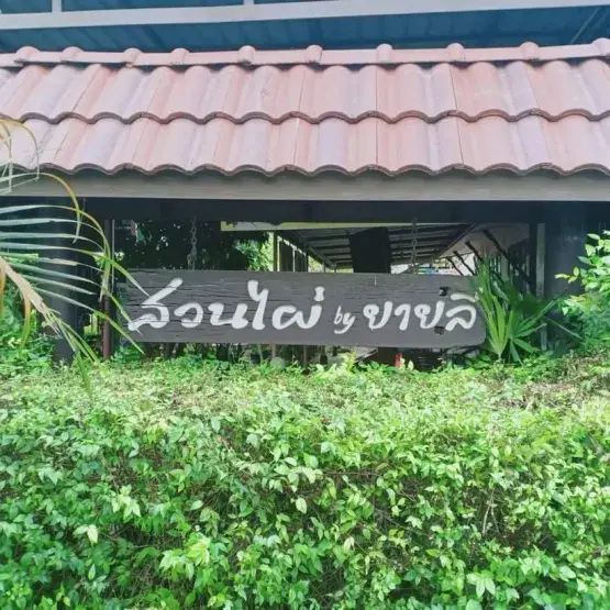สวนไผ่ by ยายลี