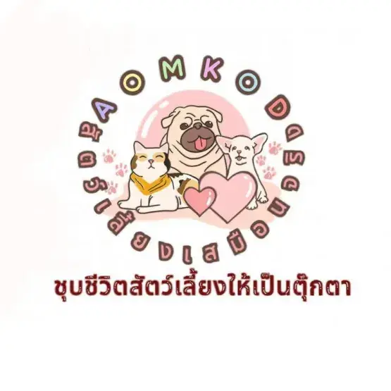 AOMKOD โมเดลสัตว์เลี้ยงเสมือนจริง