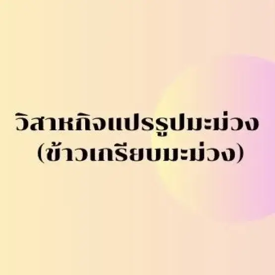 วิสาหกิจชุมชนแปรรูปมะม่วง