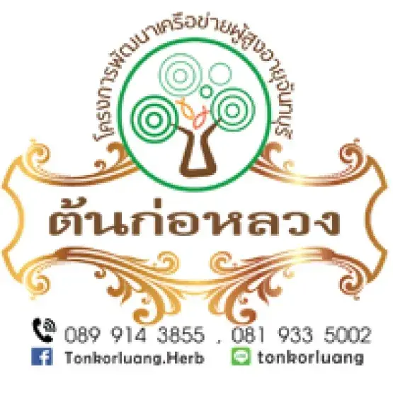 ต้นก่อหลวง โครงการพัฒนาเครือข่ายผู้สูงอายุจันทบุรี