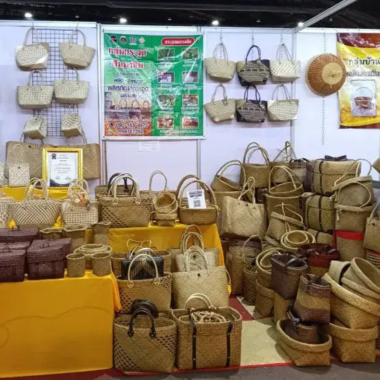 กระจูดจิรวรรณ