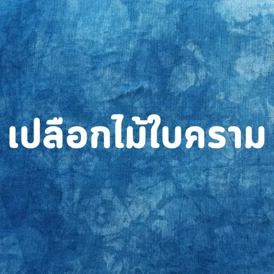 เปลือกไม้ใบคราม