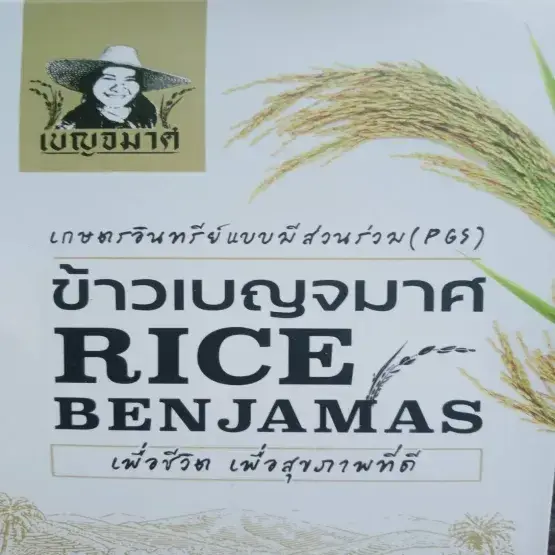 เบญจมาศ