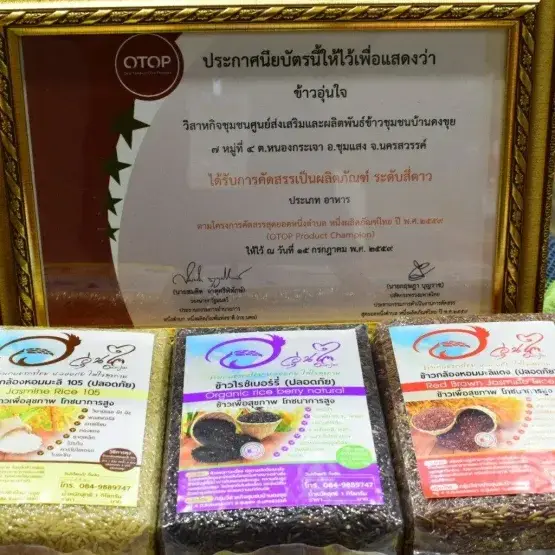 ศูนย์ส่งเสริมและผลิตพันธ์ุข้าวดงขุยอำเภอชุมแสง