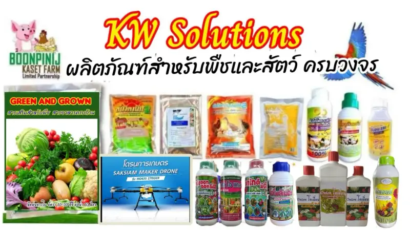 KW Solutions