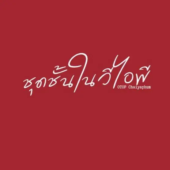 ชุดชั้นใน VIP