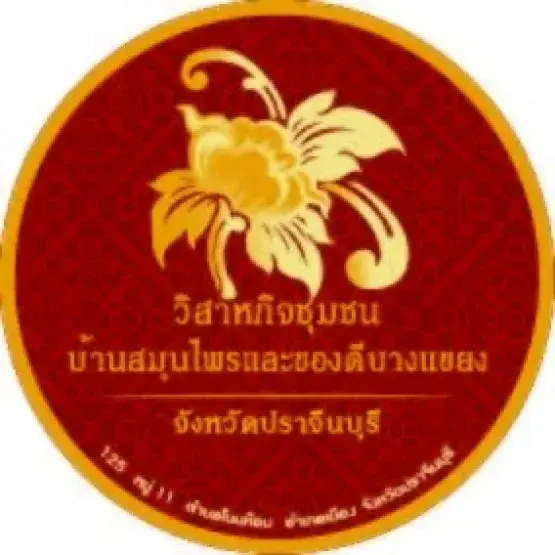 PRUNG OFFICIAL