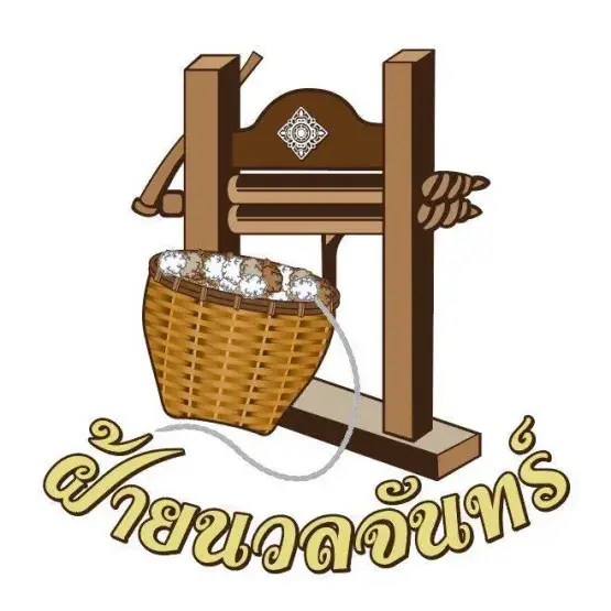 ฝ้ายนวลจันทร์