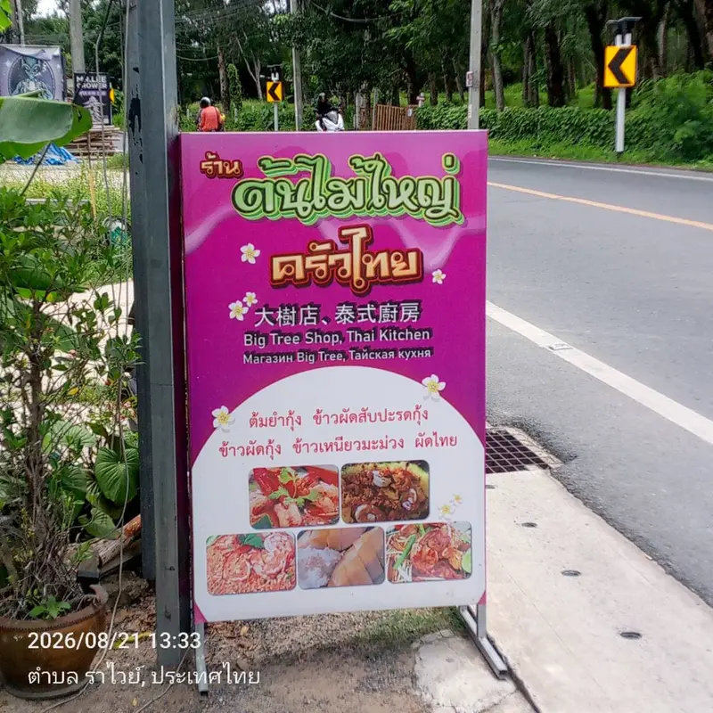 ต้นไม้ใหญ่ ครัวไทย
