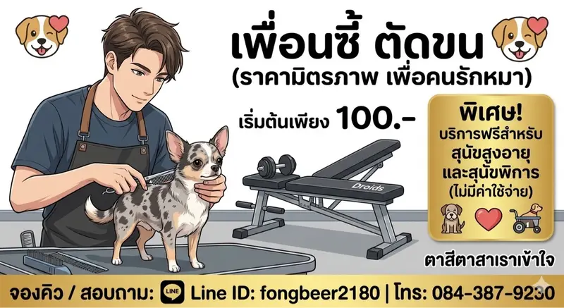 เพื่อนซี้ ตัดขน