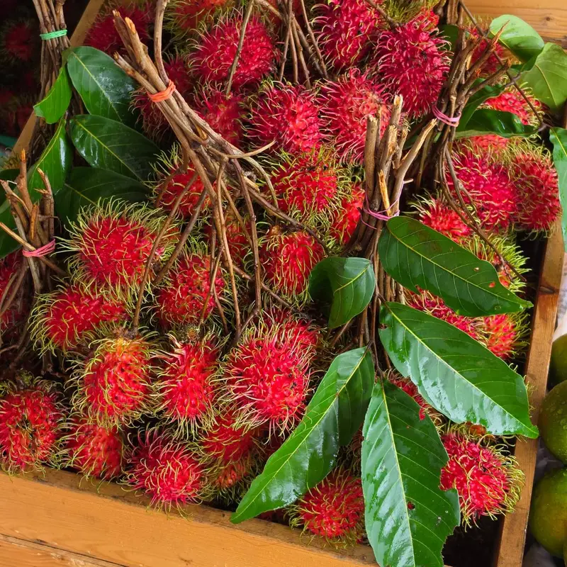 ร้านผลไม้ Fruity Mood